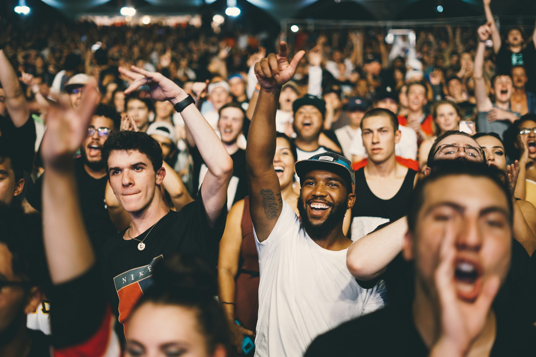 Team Dogs fans packed into a live arena